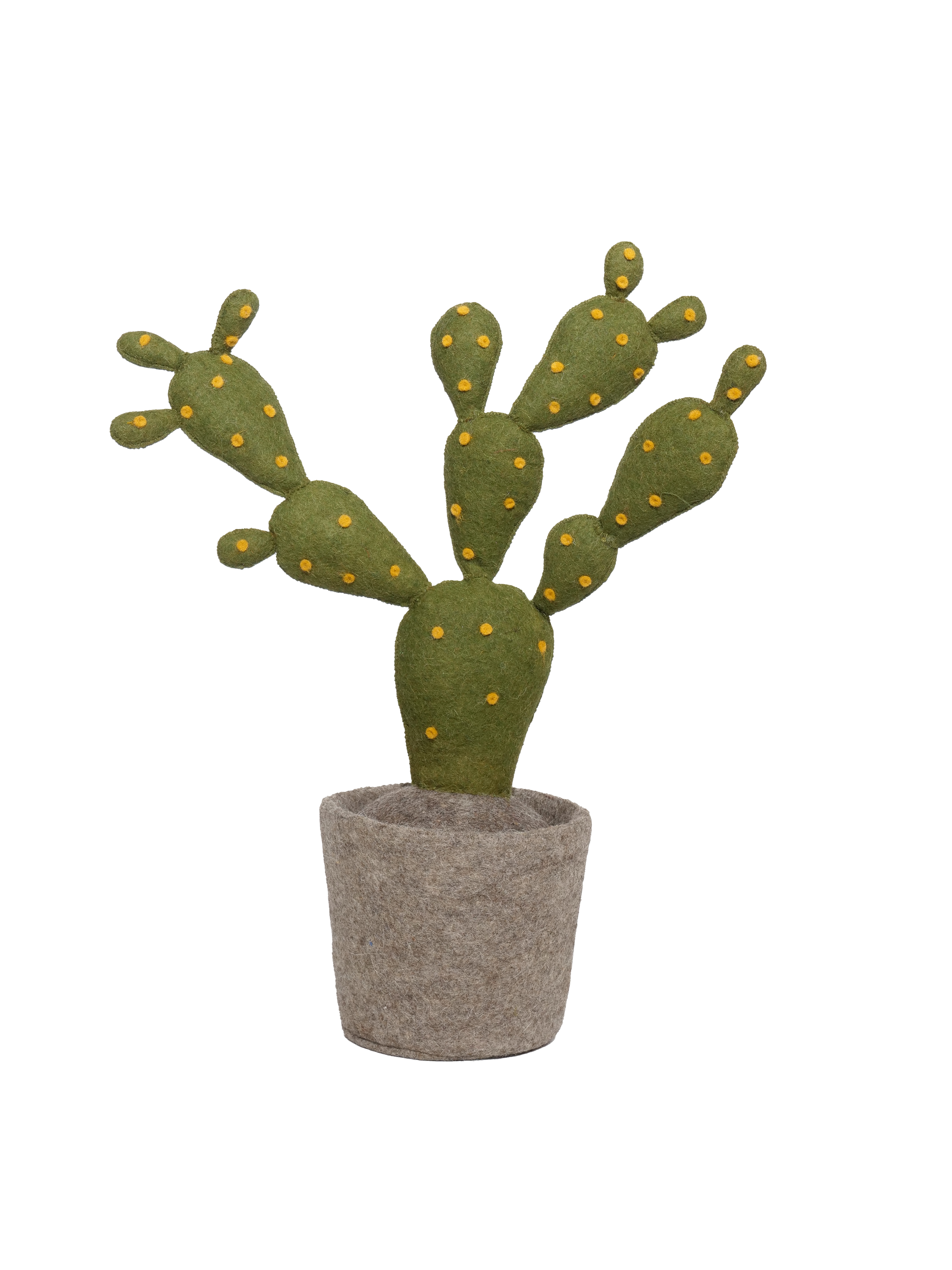 KidsDepot Plant Cactus 펠트 식물