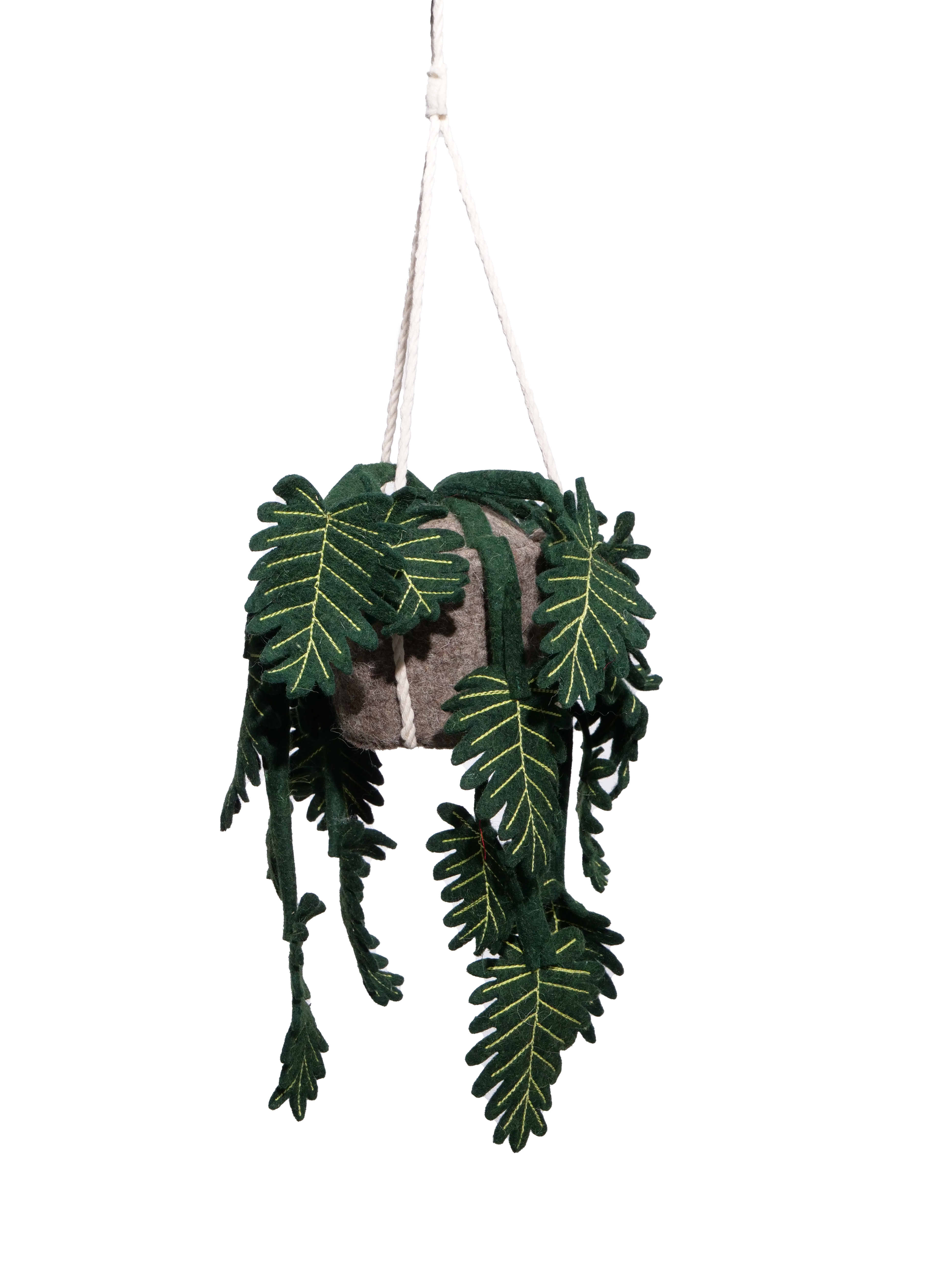 KidsDepot Plant Philo