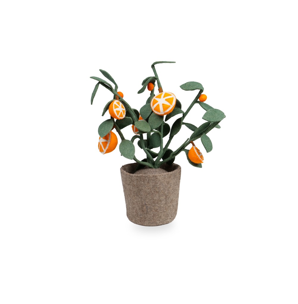 Plant Orange