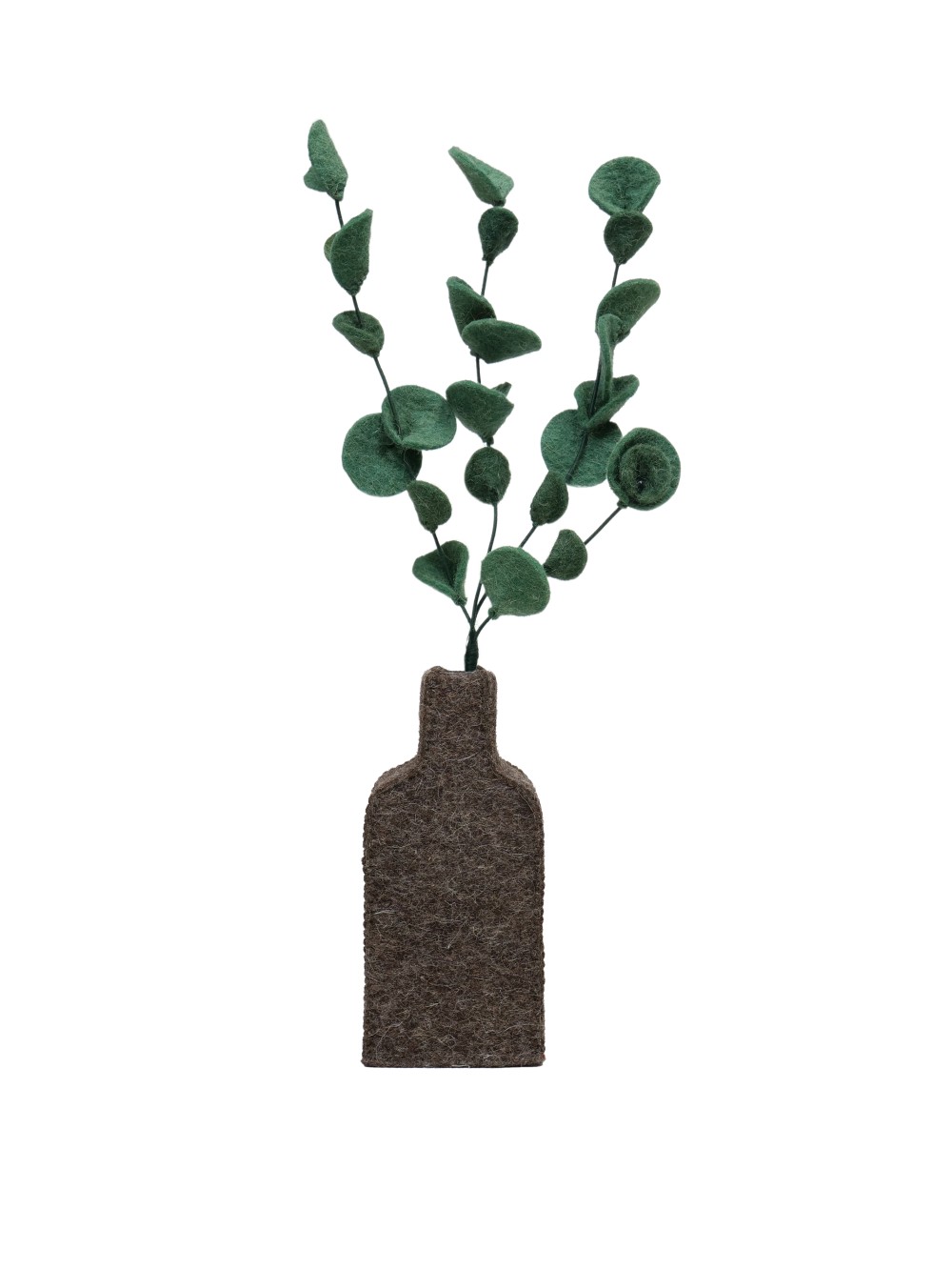 Eucalyptus in vaas