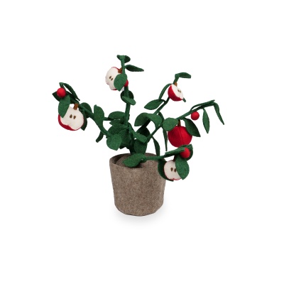 Plant Apple
