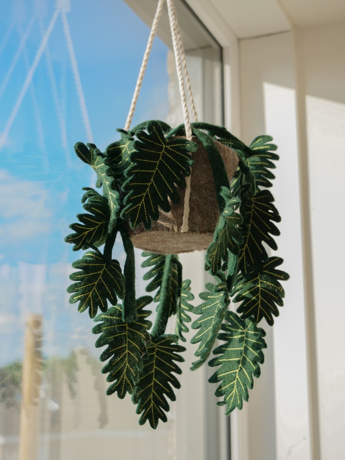 Plant Philo