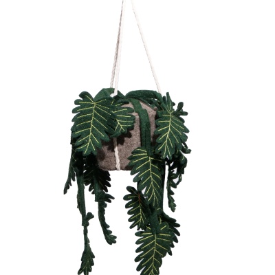 Plant Philo