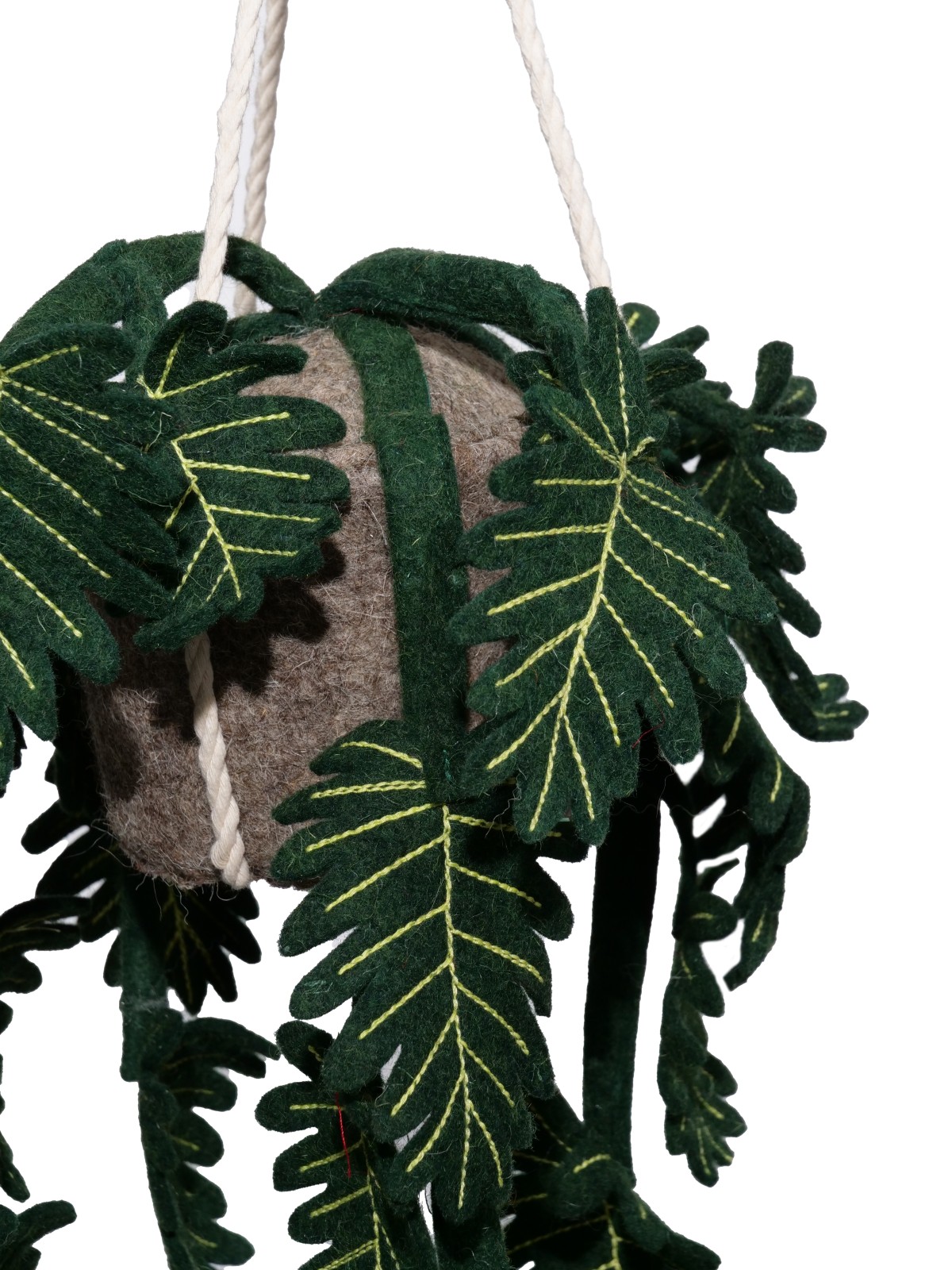 Plant Philo
